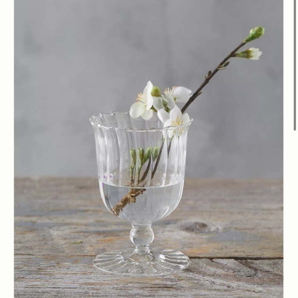 BHLDN Anthropologist Scalloped Glads Vase S. NWT